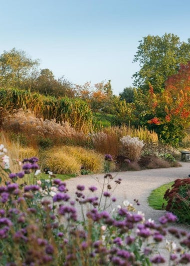 Virgin Experience Days RHS Garden Hyde Hall Visit for Two