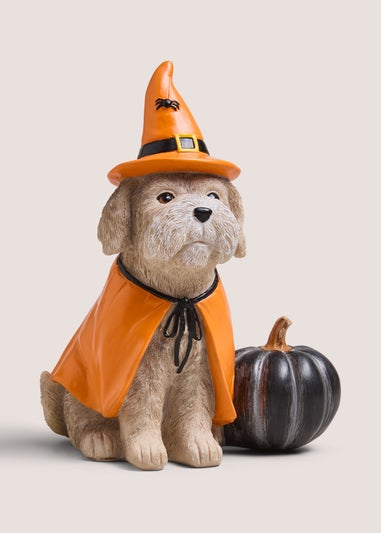 Halloween Dog