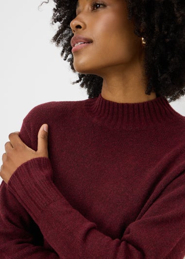 Burgundy Knitted High Neck Dress