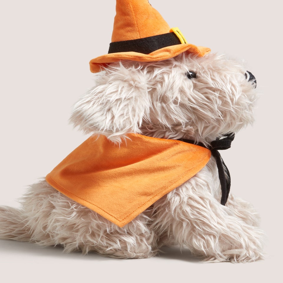 Witch Cockapoo Doorstop