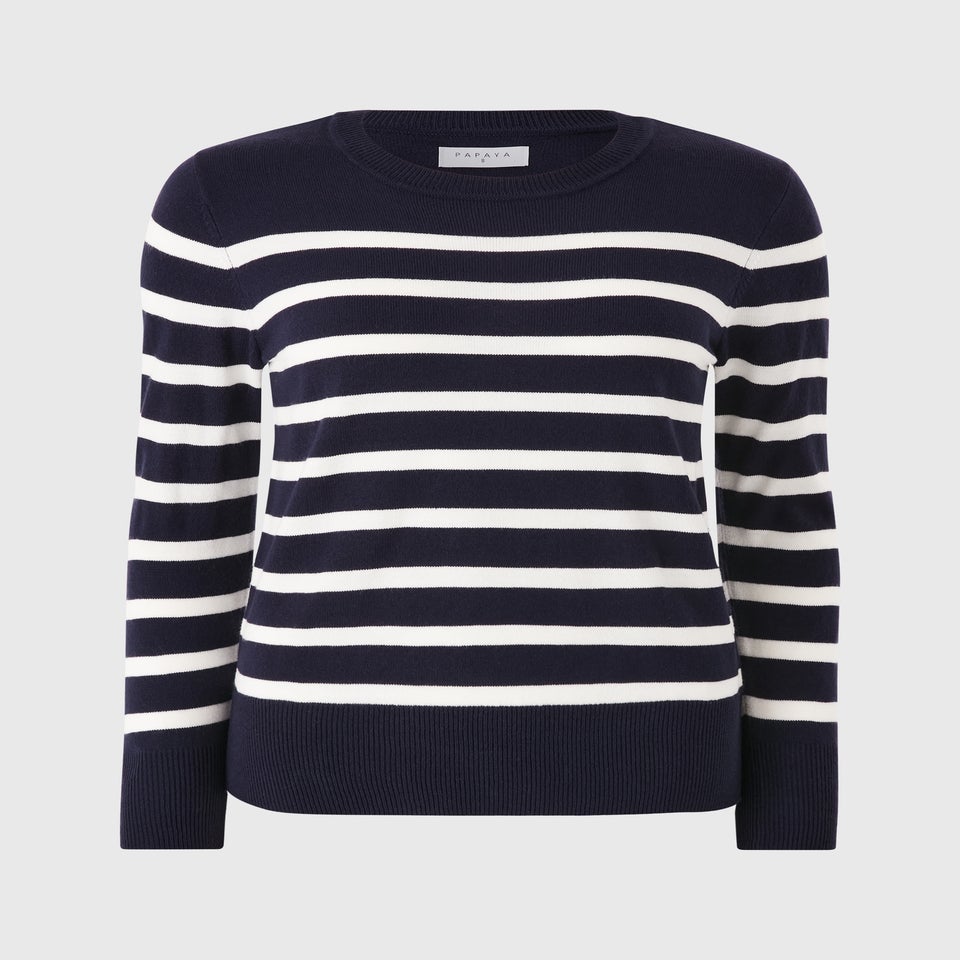 Navy Crew Neck Striped Jumper