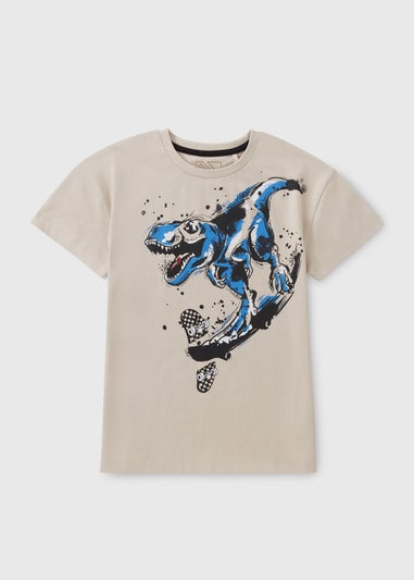 Boys Stone Dino Skater T-Shirt (7-15yrs)