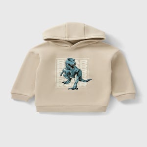 Boys Cream Dino Graphic Hoodie (1-7yrs)