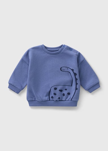 Baby Blue Dino Sweatshirt (Newborn-23mths)
