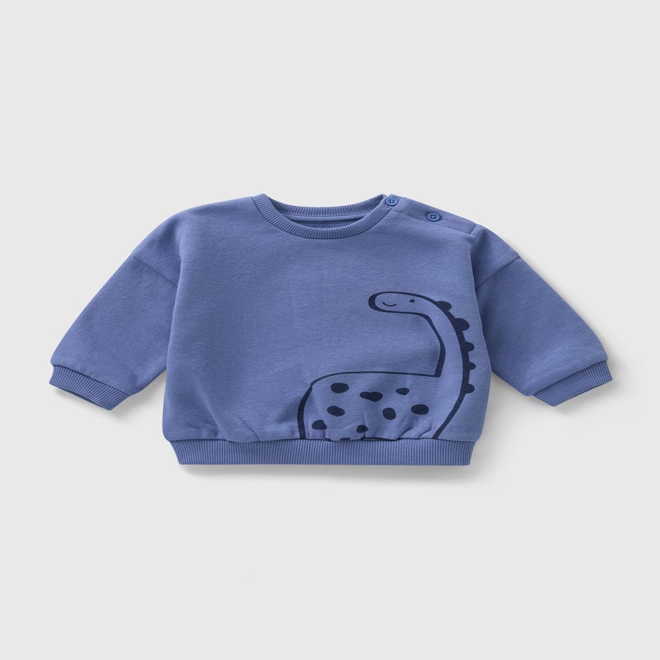 Baby Blue Dino Sweatshirt (Newborn-23mths)