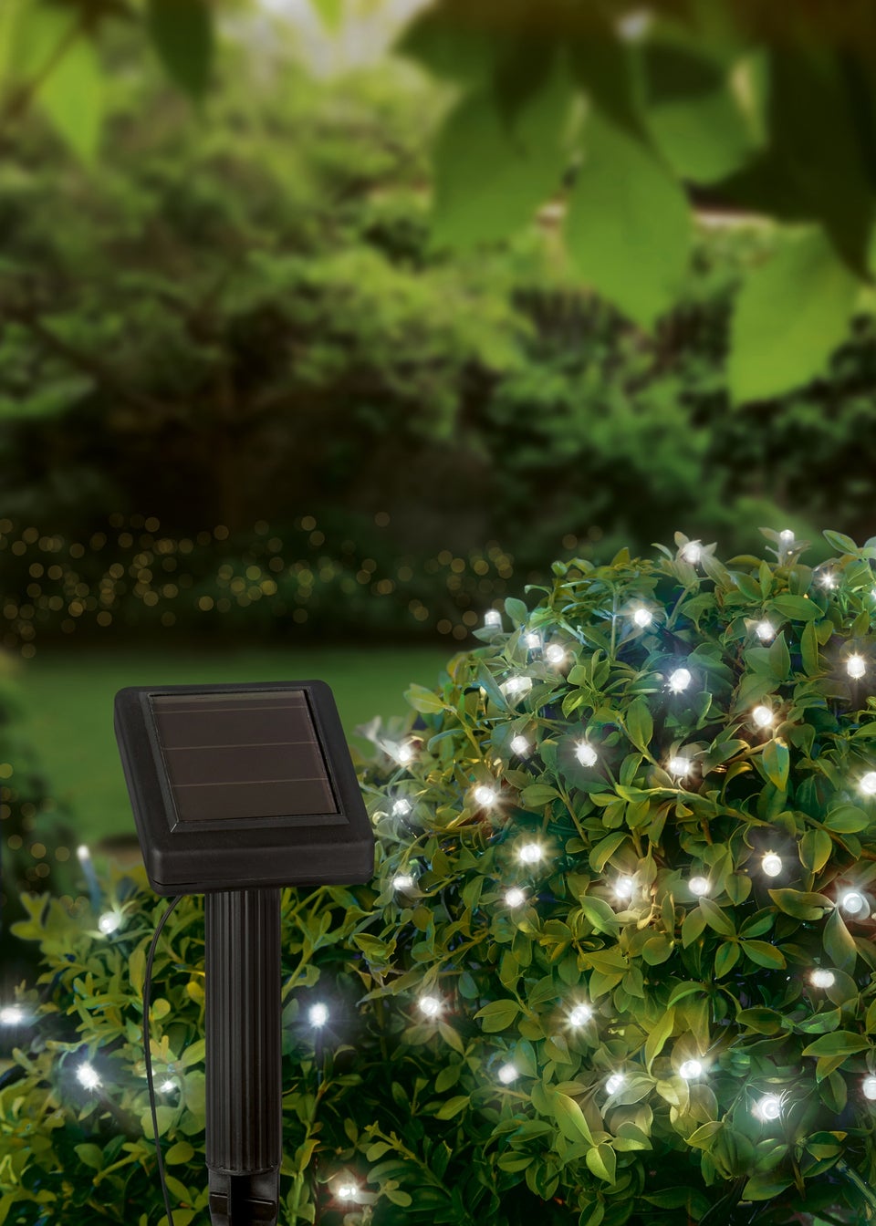 Premier Decorations 1000 LED Cool White Solar String Lights