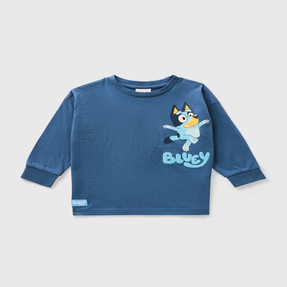Boys Blue Bluey Long Sleeve Jumper (1-7 Years)