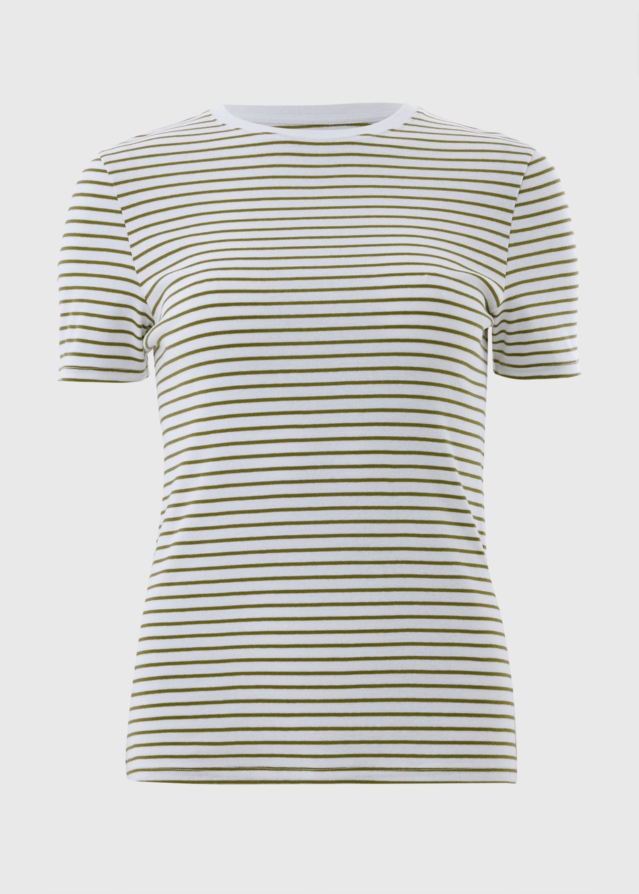 Green Stripe Fitted T-Shirt