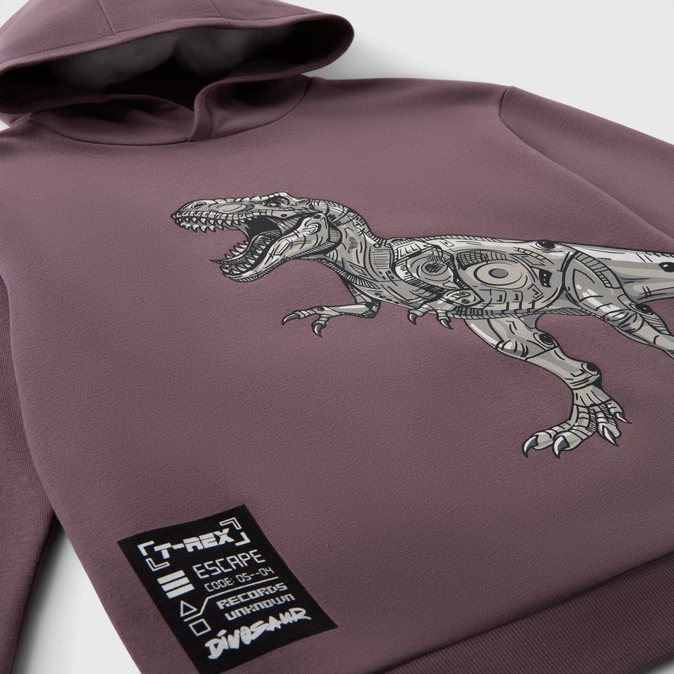 Boys Mauve Dino Tech Hoodie (7-15yrs)