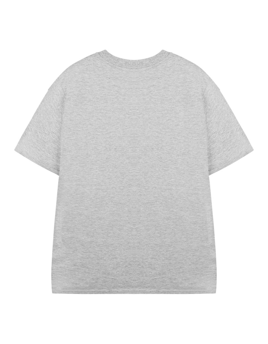 Roald Dahl Charlie & The Chocolate Factory Unisex Kids Grey T-Shirt (3-14 Years)