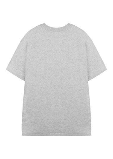 Roald Dahl Charlie & The Chocolate Factory Unisex Kids Grey T-Shirt (3-14 Years)