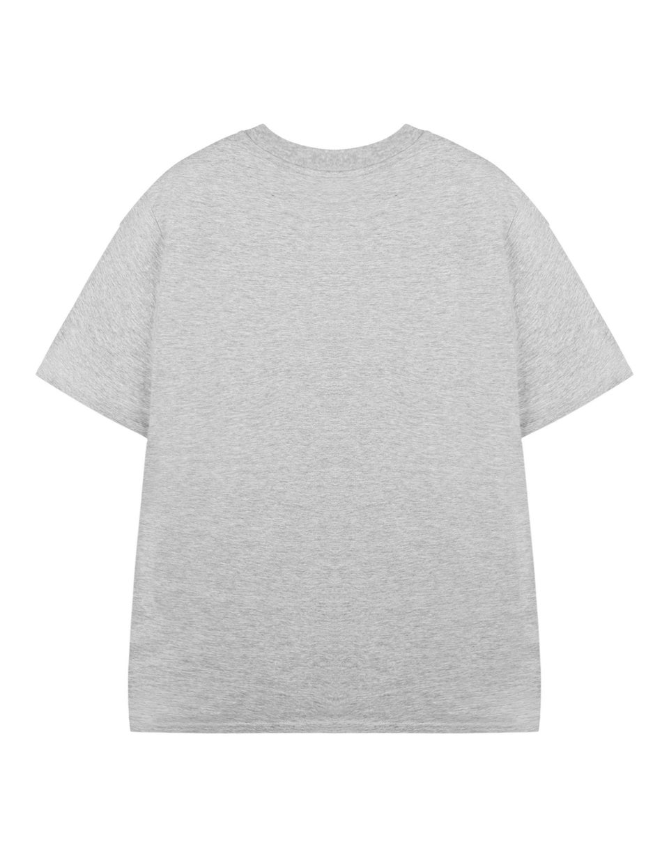 Roald Dahl Charlie & The Chocolate Factory Unisex Kids Grey T-Shirt (3-14 Years)