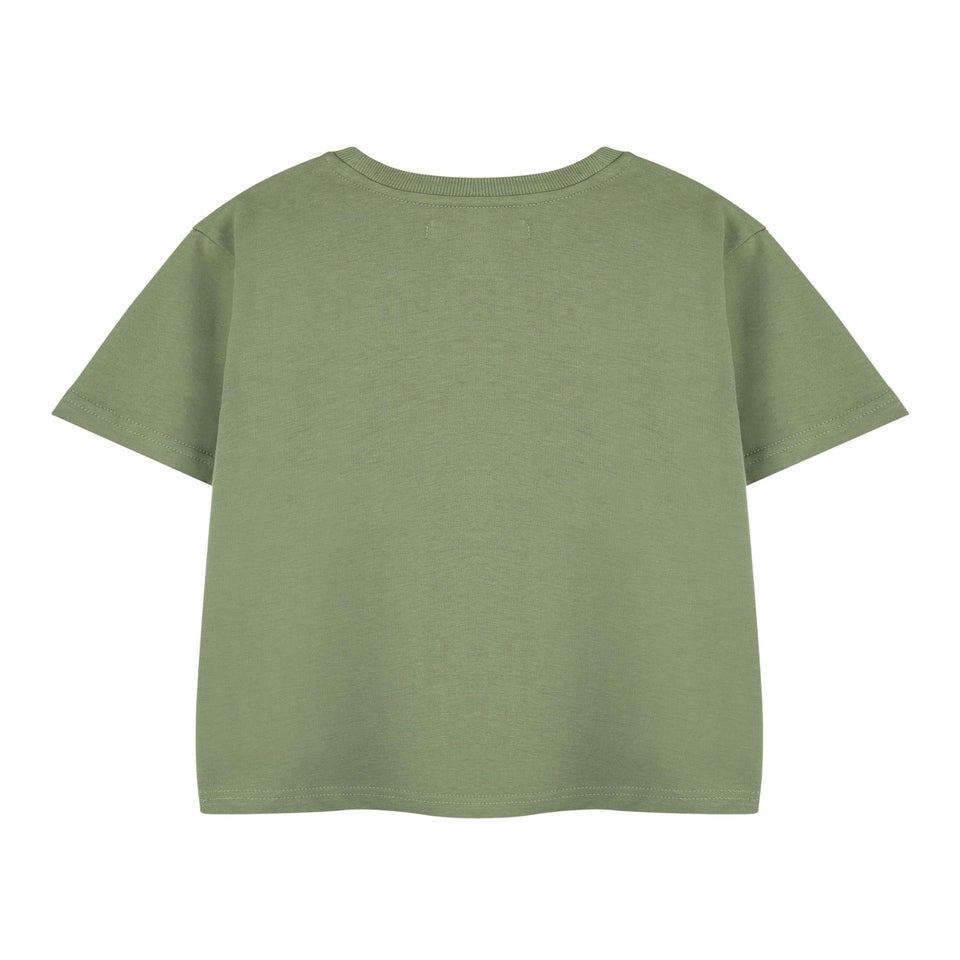 Roald Dahl Fantastic Mr Fox Unisex Kids Khaki T-Shirt (3-14 Years)