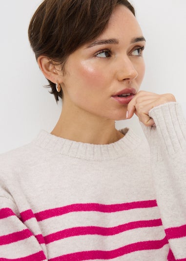 Raspberry Cotton Blend Stripe Jumper