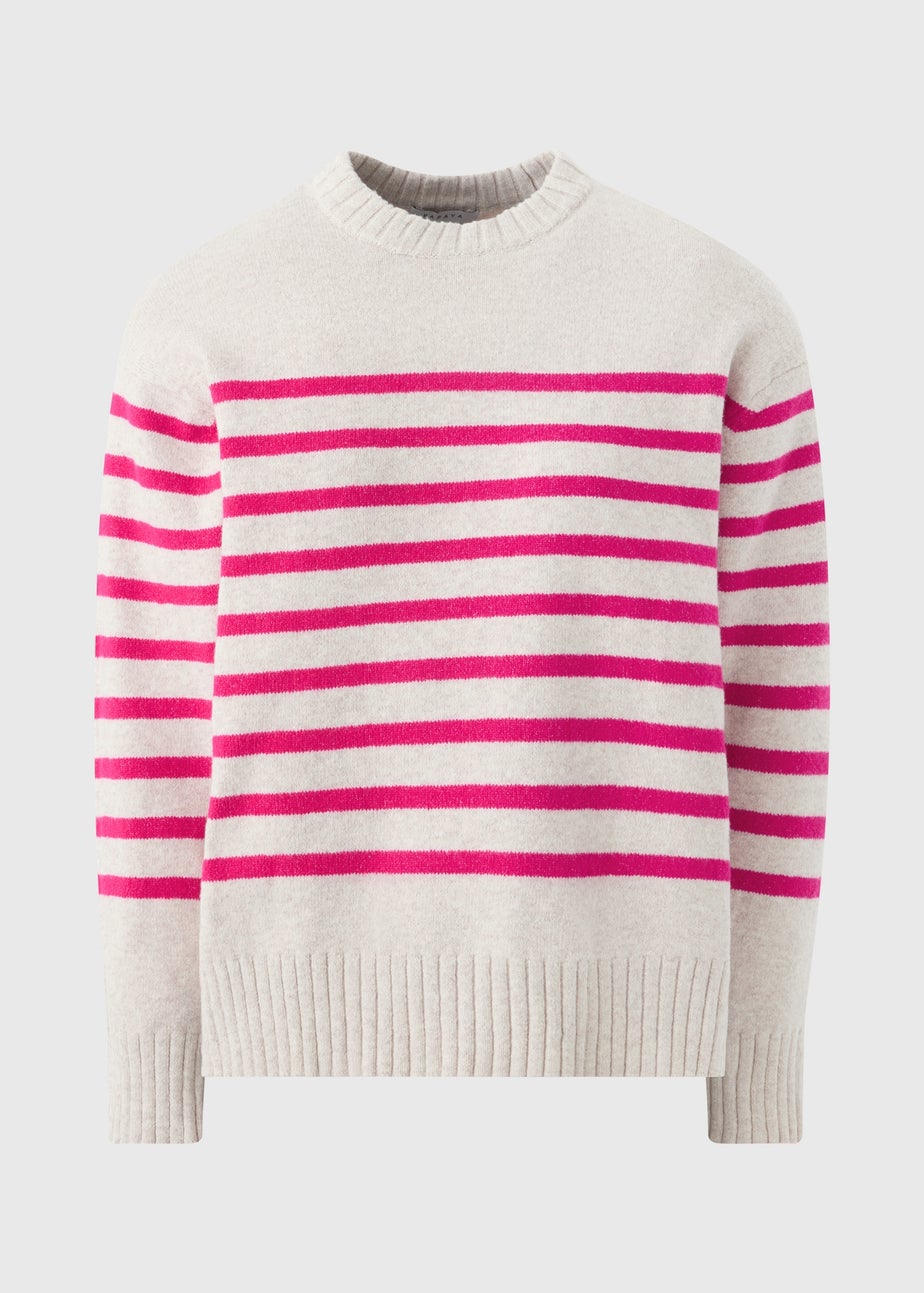 Raspberry Cotton Blend Stripe Jumper