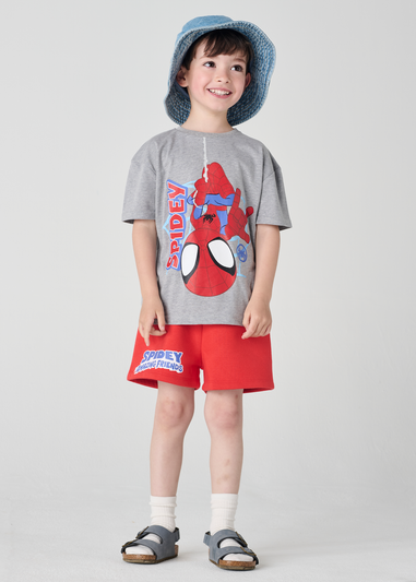 Marvel Grey Spidey & His Amazing Friends Daywear Set (2-6 Years)