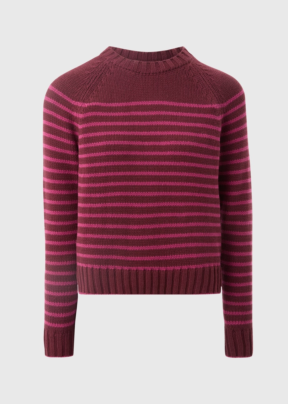 Burgundy Stripe Jumper