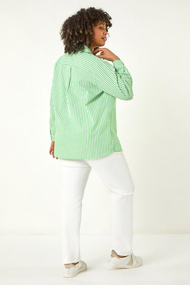 Roman Green Curve Stripe Buttoned Shirt