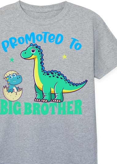 Brands In Promoted To Big Brother Boys Heather Grey Graphic T-Shirt