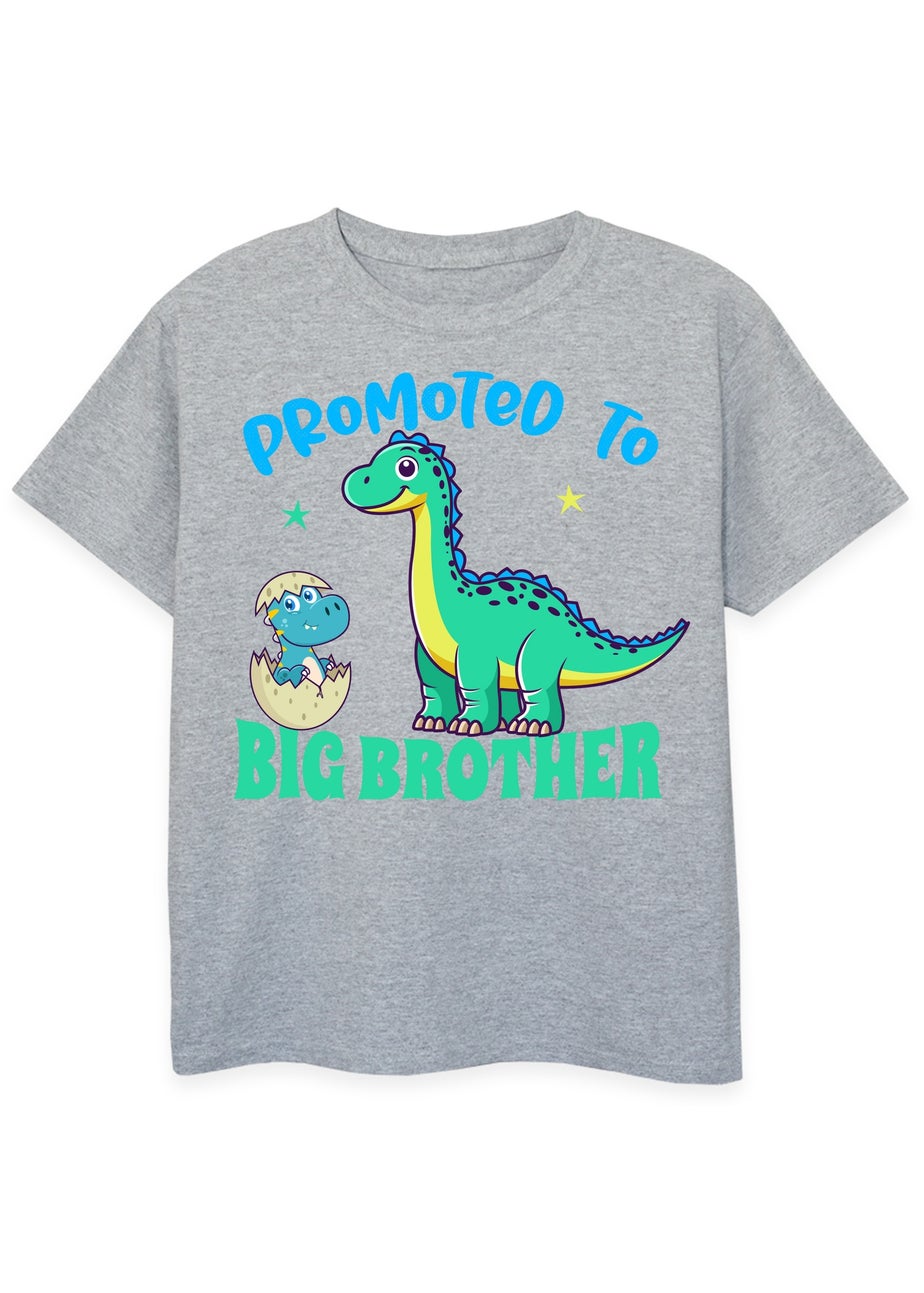 Brands In Promoted To Big Brother Boys Heather Grey Graphic T-Shirt