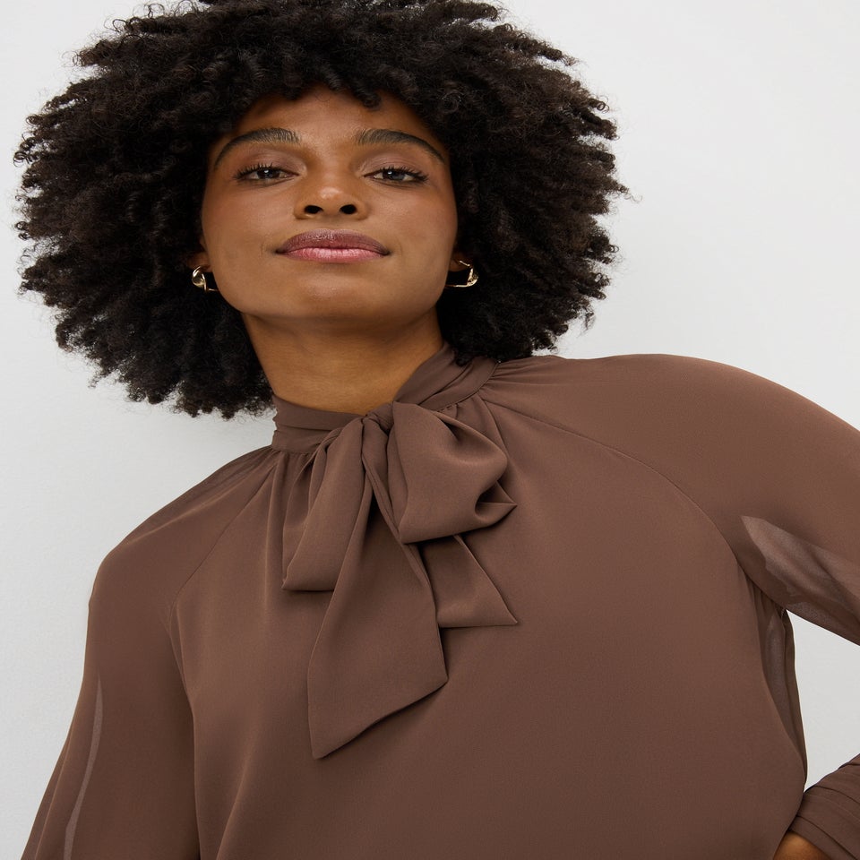 Brown Tie Neck Mini Dress