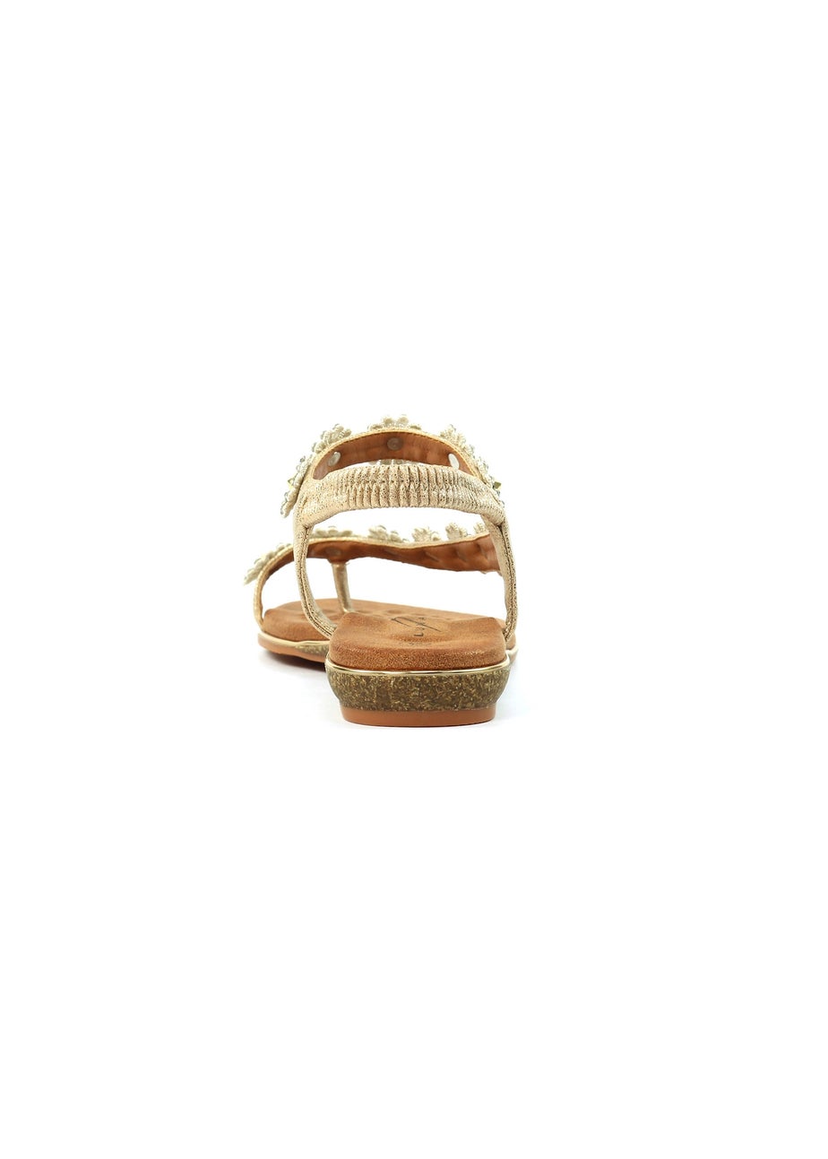Lunar Gold Charlotte II Sandal