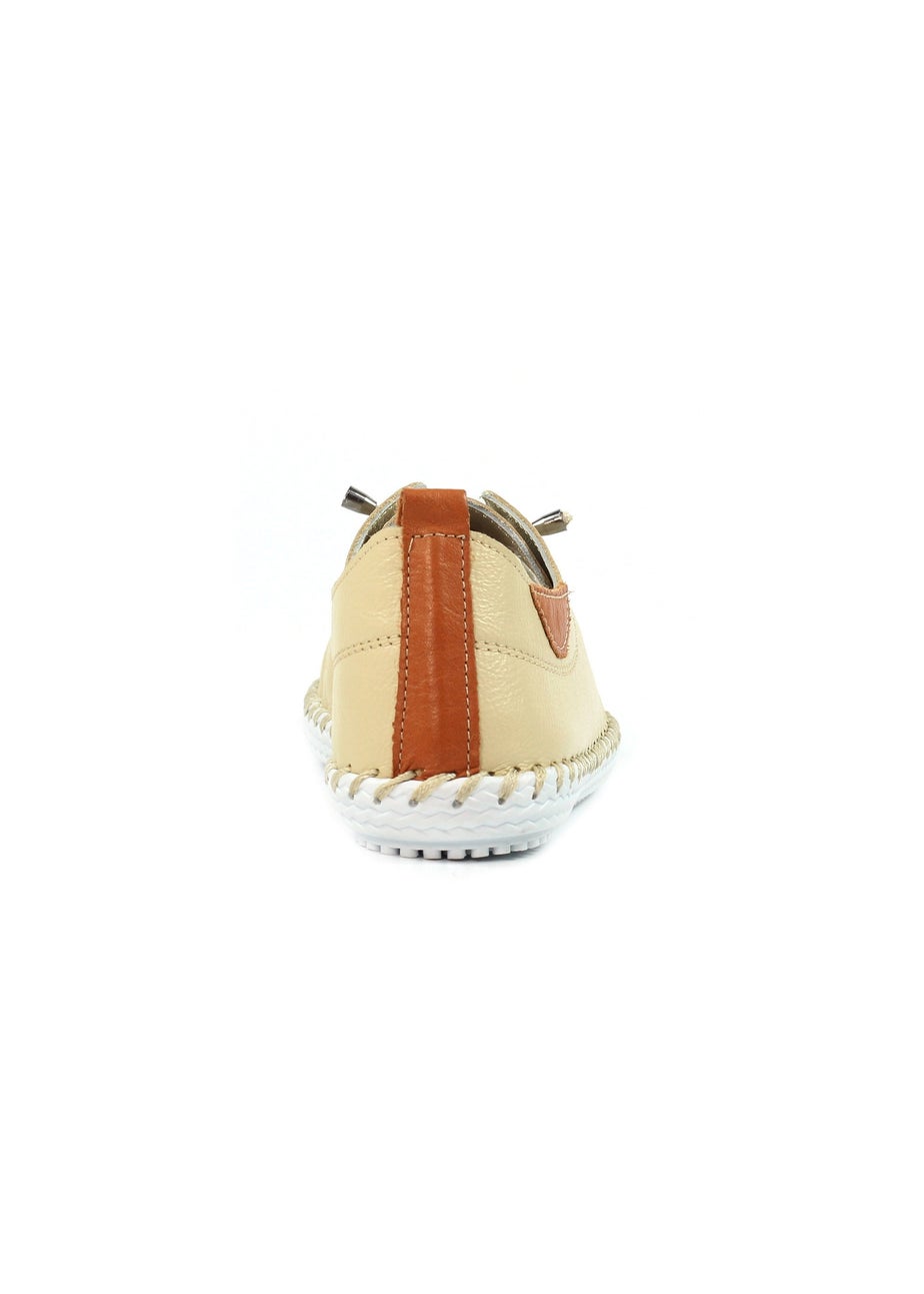 Lunar Beige St Ives Plimsoll