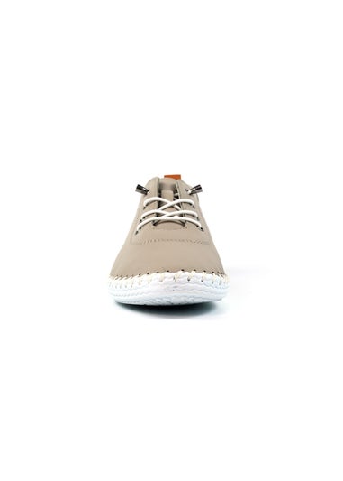 Lunar Stone St Ives Plimsoll