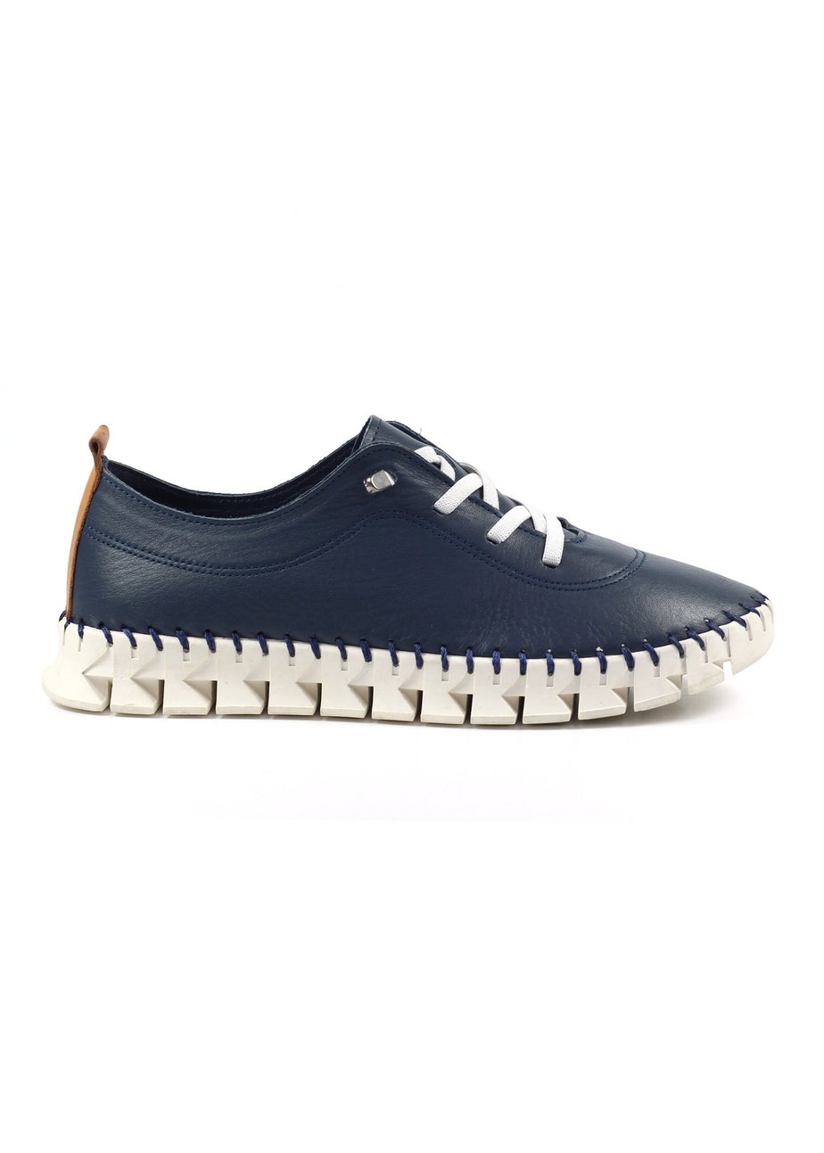 Lunar Blue St Austell Plimsoll