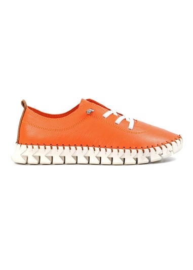 Lunar Orange St Austell Plimsoll