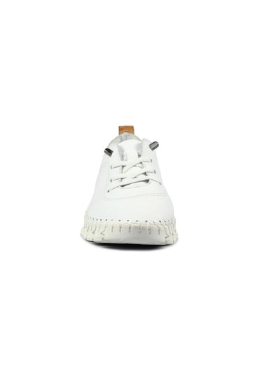 Lunar White St Austell Plimsoll