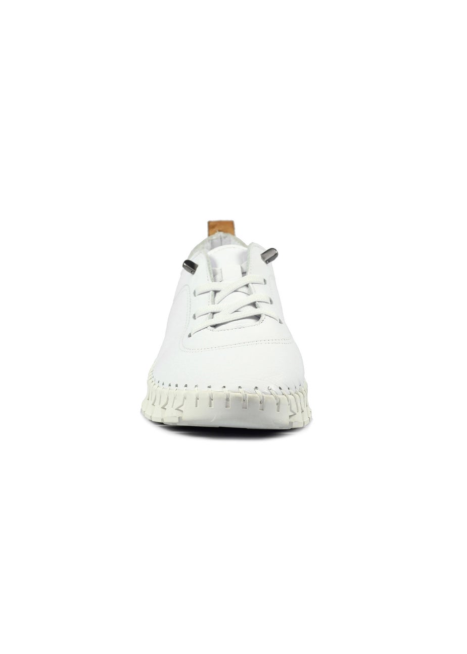 Lunar White St Austell Plimsoll