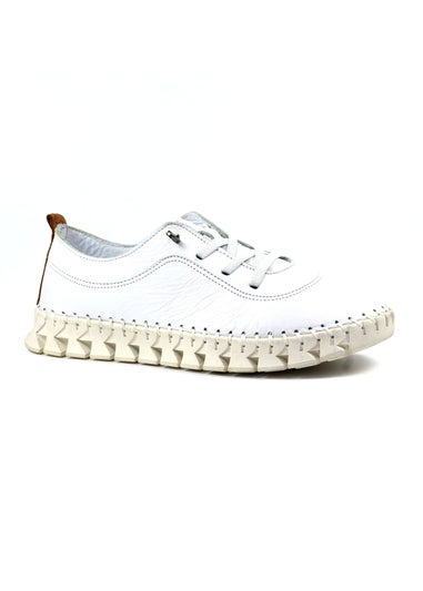 Lunar White St Austell Plimsoll