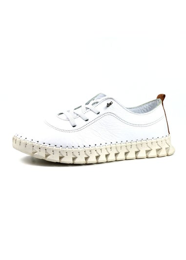 Lunar White St Austell Plimsoll