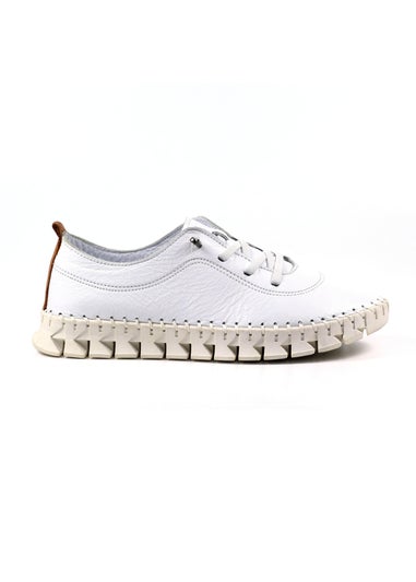 Lunar White St Austell Plimsoll