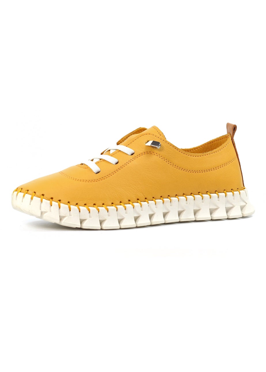 Lunar Yellow St Austell Plimsoll