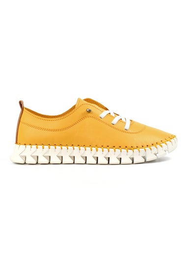 Lunar Yellow St Austell Plimsoll