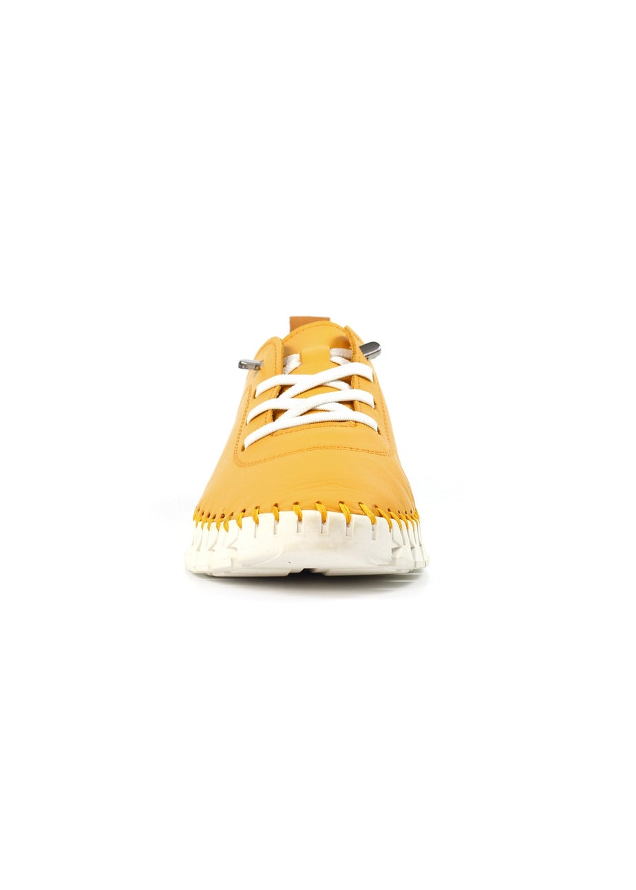 Lunar Yellow St Austell Plimsoll