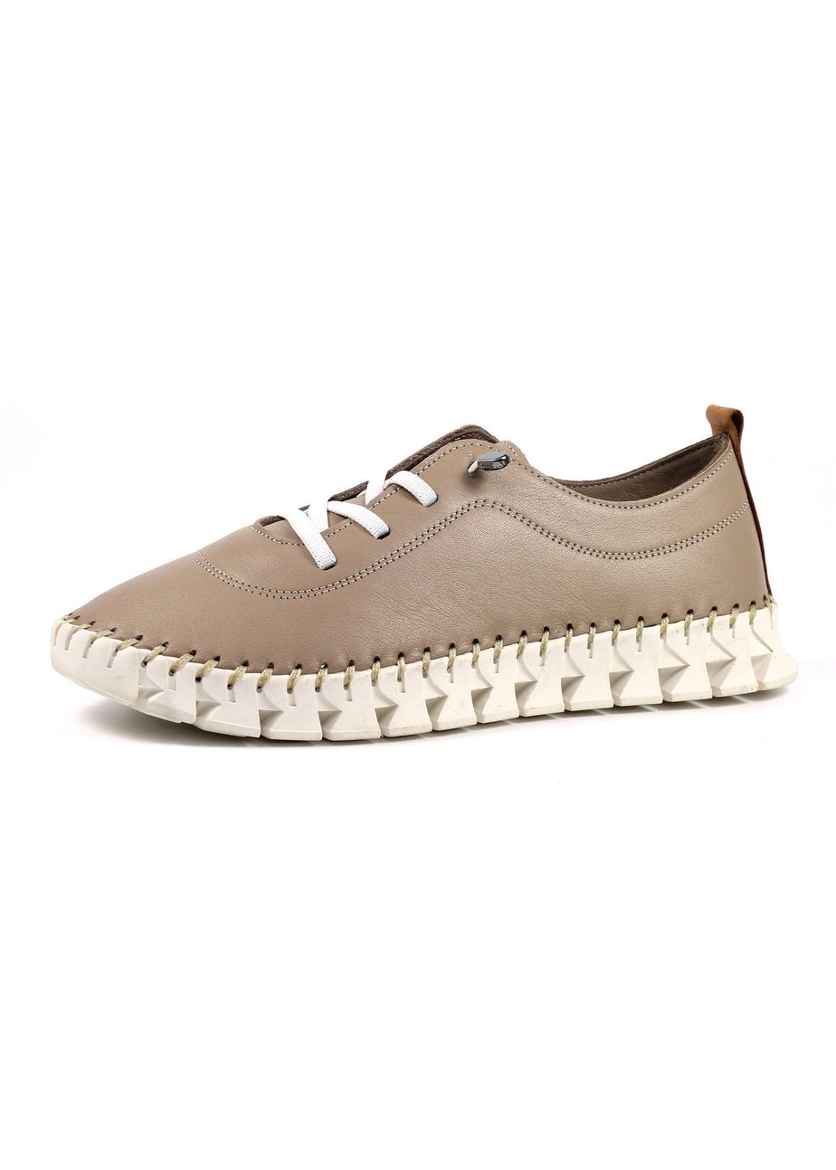 Lunar Taupe St Austell Plimsoll
