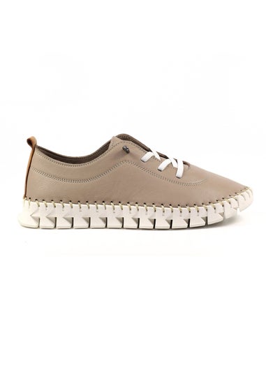 Lunar Taupe St Austell Plimsoll