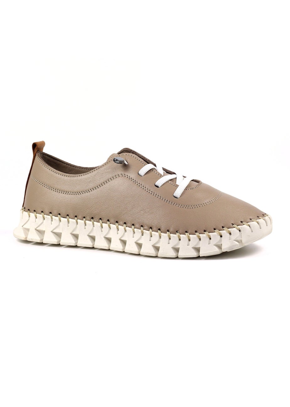Lunar Taupe St Austell Plimsoll