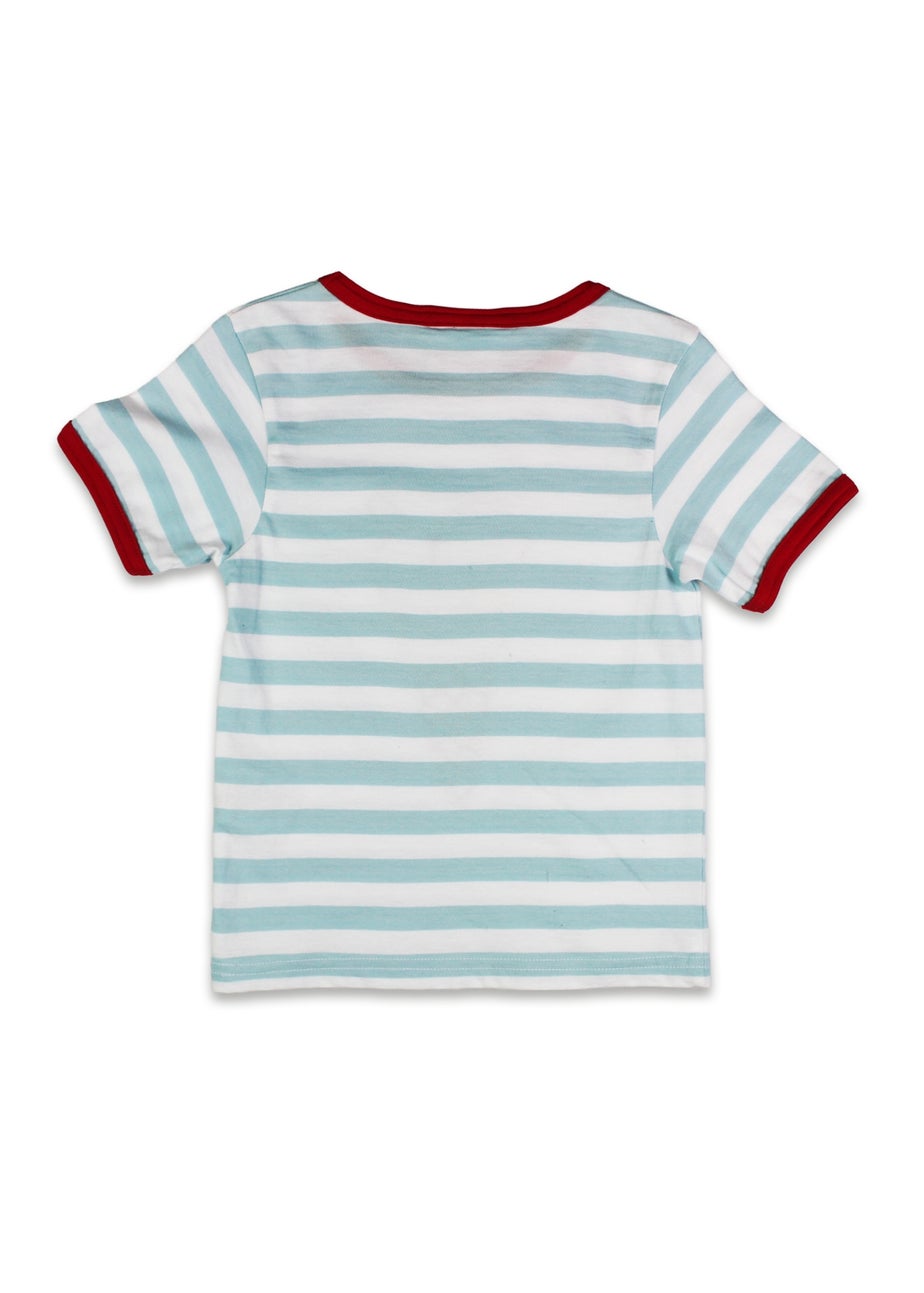 Toby Tiger Organic Blue Ice Cream Applique T-Shirt (6 months - 8 years)
