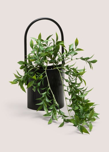 Black Metal Shelf Trailing Plant