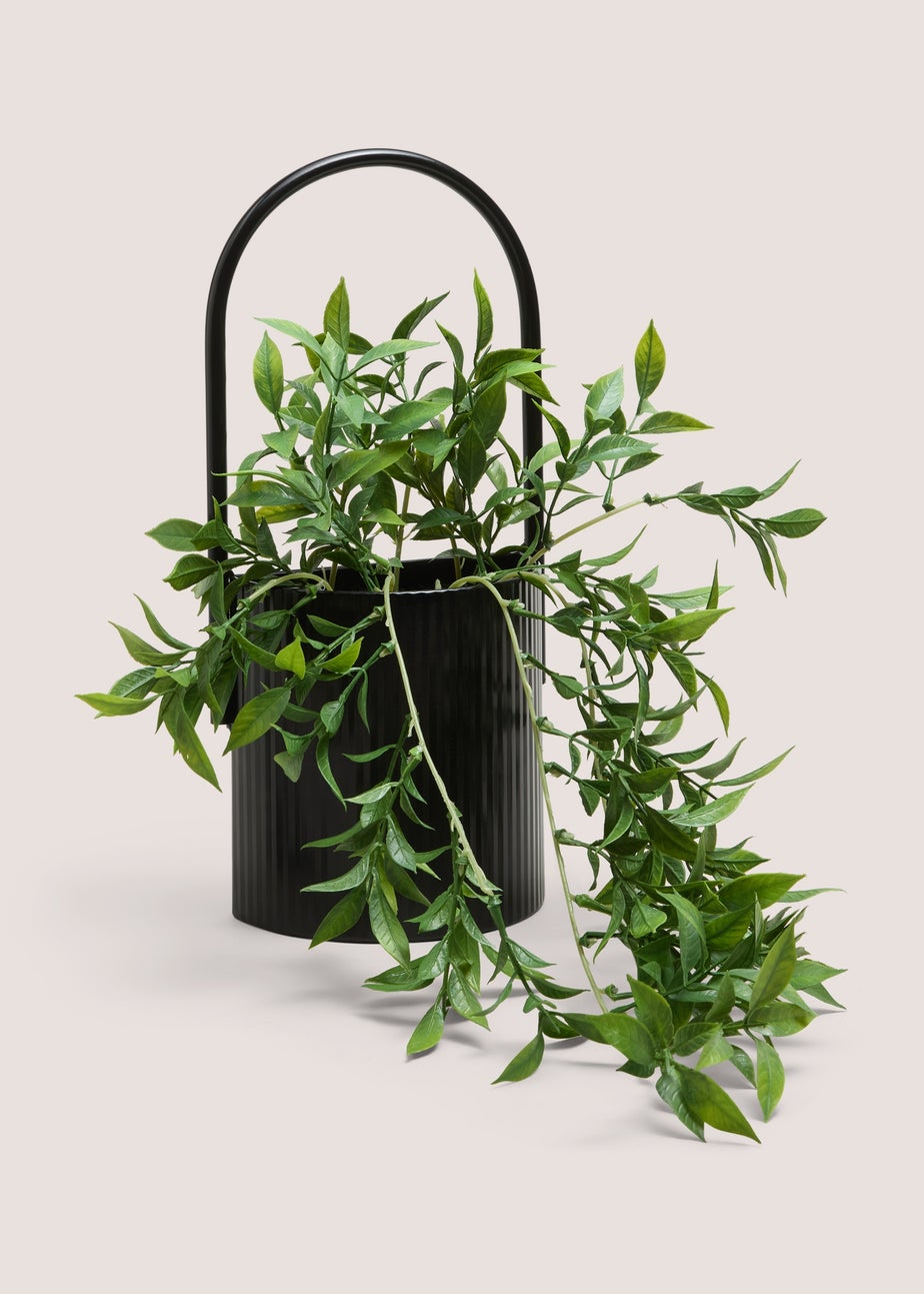 Black Metal Shelf Trailing Plant