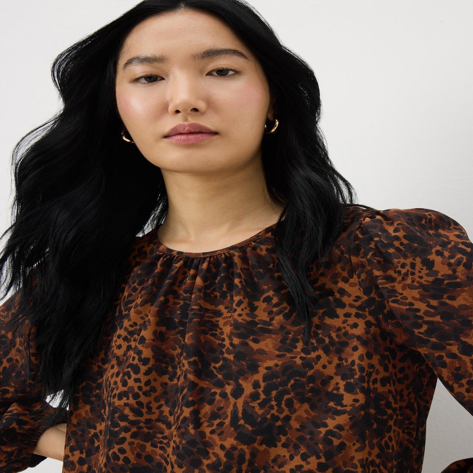 Brown Animal Print Long Sleeve Top