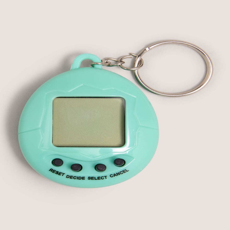 Virtual Pet