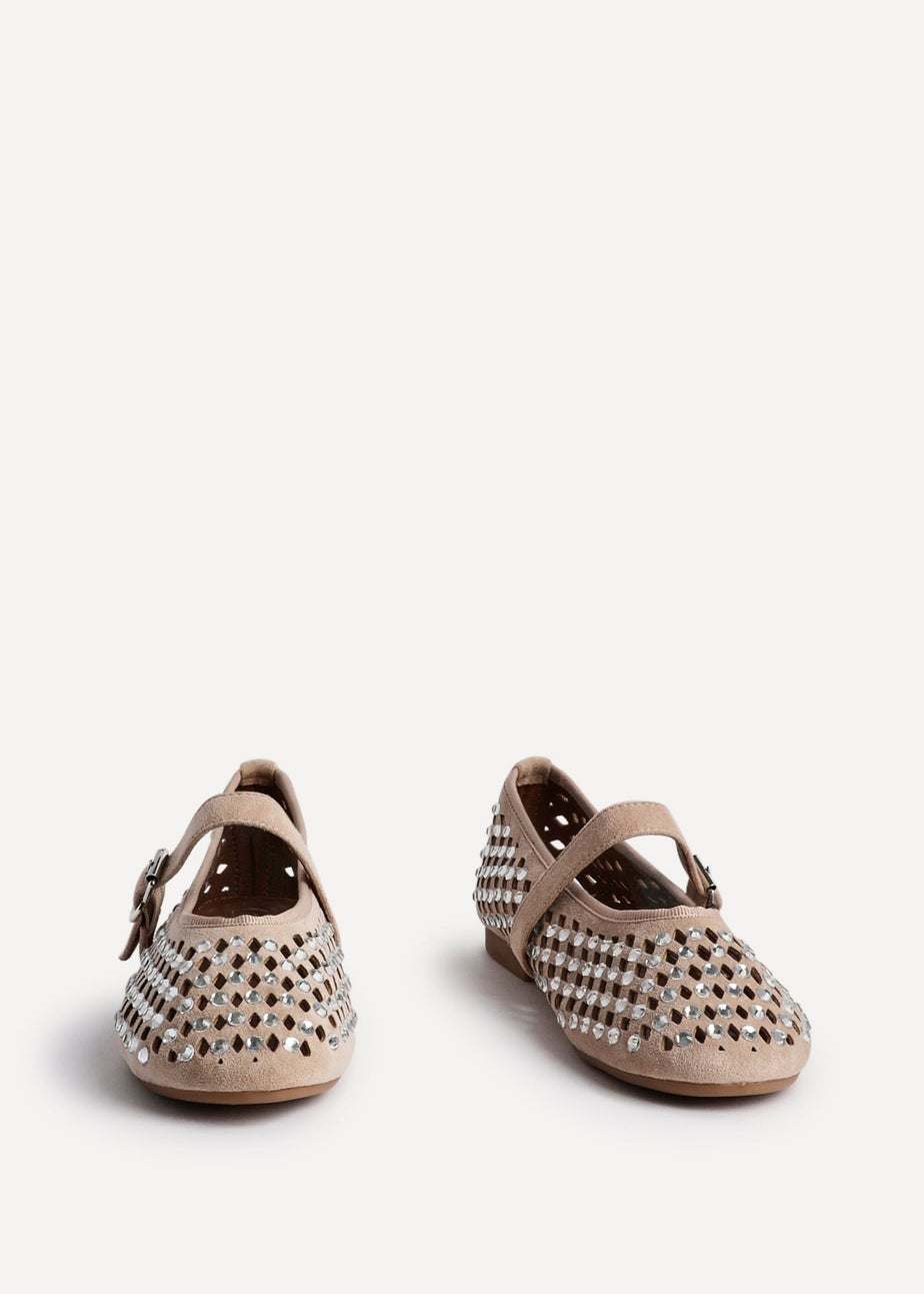 Linzi Delicate Sand Suede Diamante Embellished Ballet Pumps