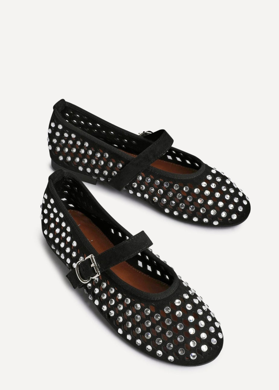 Linzi Delicate Black Suede Diamante Embellished Ballet Pumps