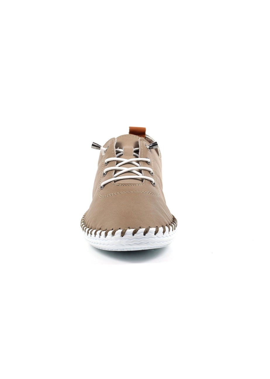 Lunar Taupe St Ives Leather Plimsoll