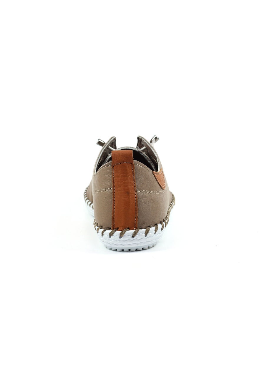 Lunar Taupe St Ives Leather Plimsoll